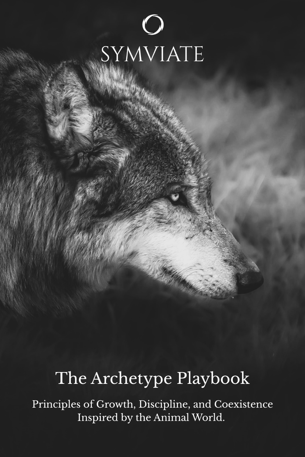 Archetype Playbook *Digital Copy