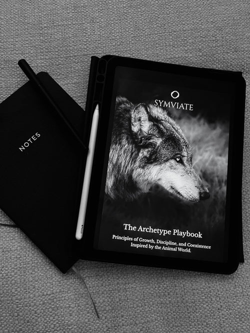 Archetype Playbook *Digital Copy